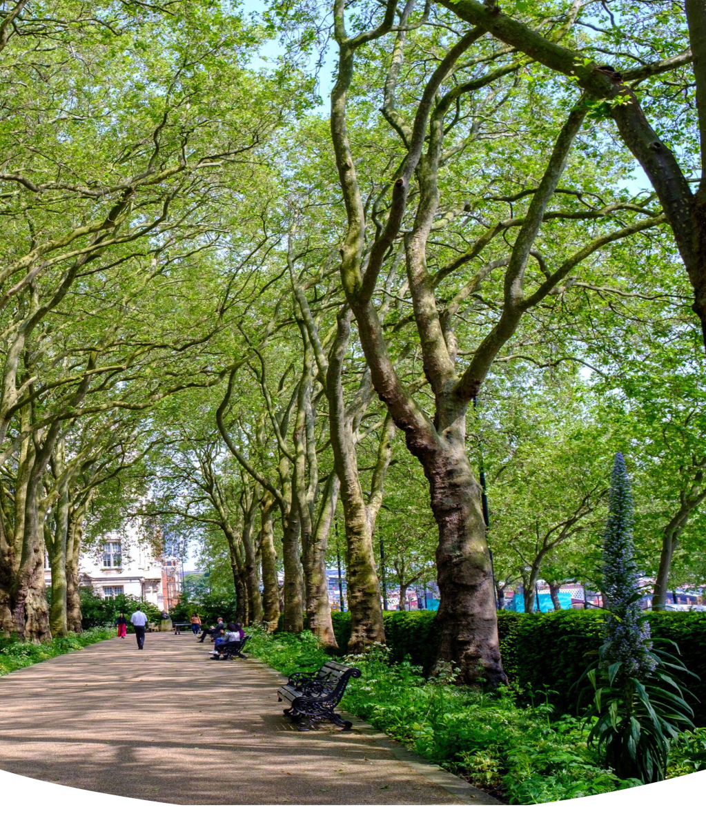 Carbon Footprint Guidance for&nbsp;Barristers